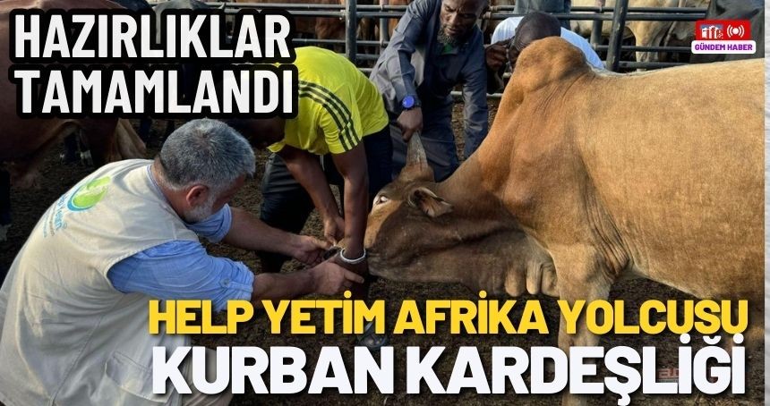 Kurban Bağışları Dünya Mazlumlarının Sofrasına Ulaşacak
