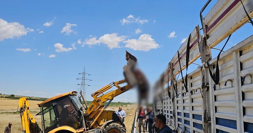 Şanlıurfa'daki kazada telef olan hayvanlar kireçlenerek derin çukurlara gömüldü