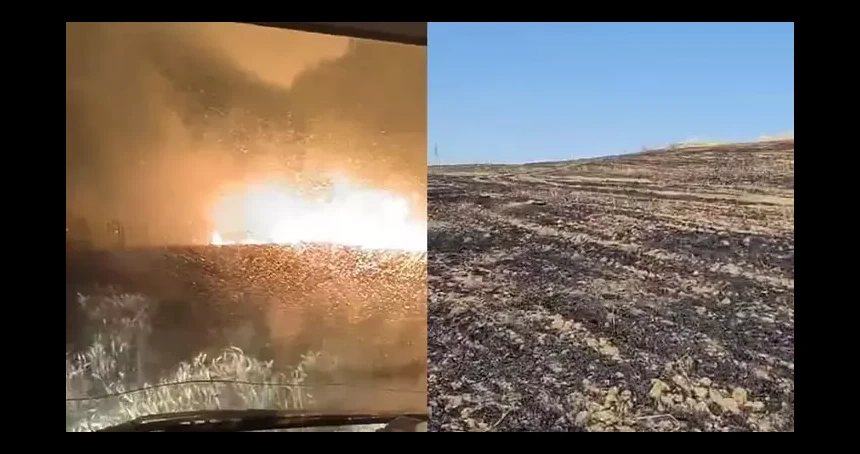 Yıldırım düşen buğday tarlasında korkutan yangın!