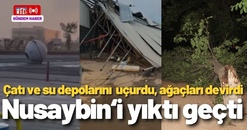 Kuvvetli fırtınada ağaçlar devrildi; depolar sürüklendi! O anlar kamerada