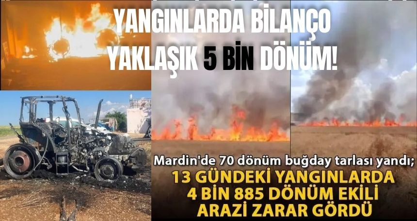 Mardin'deki tarla yangınlarında bilanço dudak uçuklattı