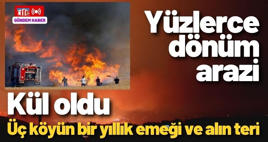 Üç köye ait yüzlerce dönüm ekili tarla kül oldu!