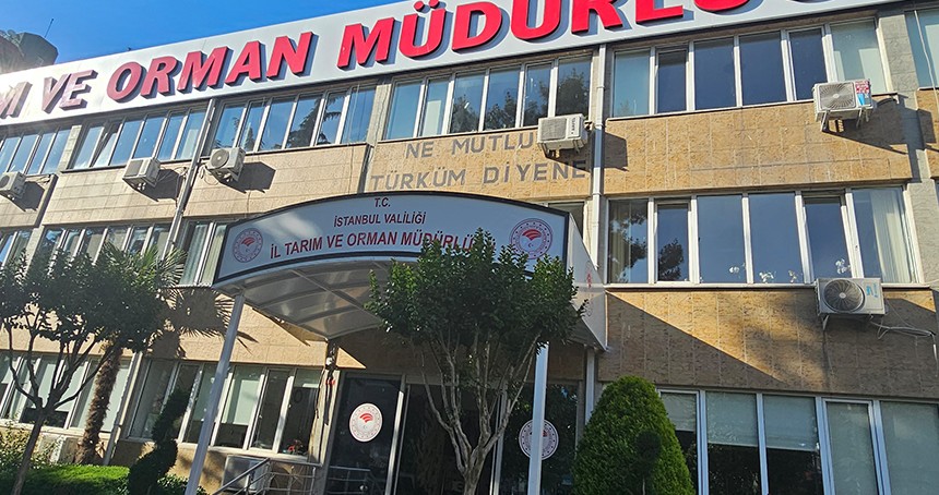 Kurbanlık seçimi ve kesiminde nelere dikkat edilmeli?