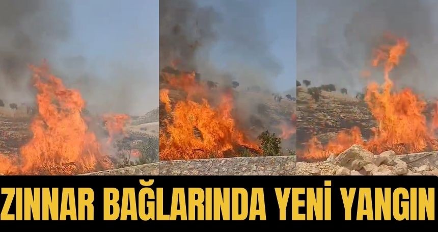 Zınnar bağlarında yeni yangın başladı