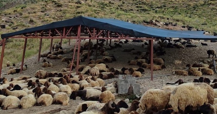 Siirt'te mera ıslah projeleri ile hayvancılık gelişiyor