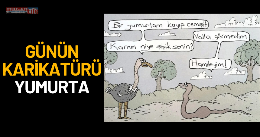 Günün karikatürü: Yumurta