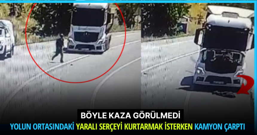 Böyle kaza görülmedi: Yolun ortasındaki yaralı serçeyi kurtarmak isterken kamyon çarptı