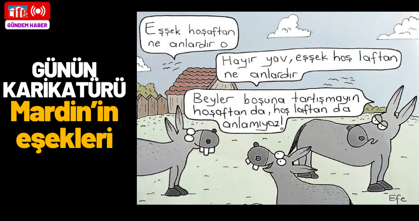 Günün karikatürü: Mardin'in eşekleri