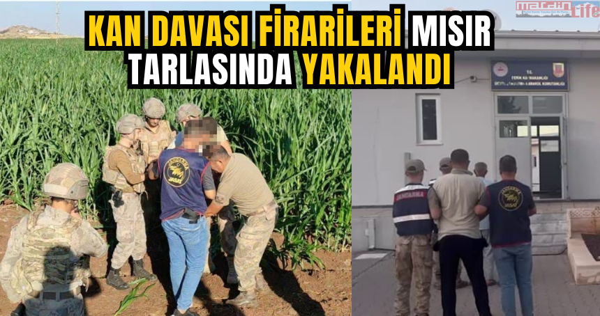Kan davası firarileri mısır tarlasında yakalandı