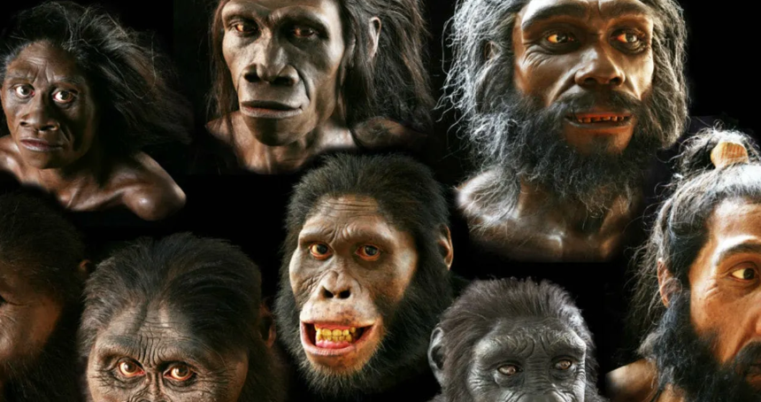 Homo sapiens türü nedir? İnsanoğlu ile bağlantısı nedir?