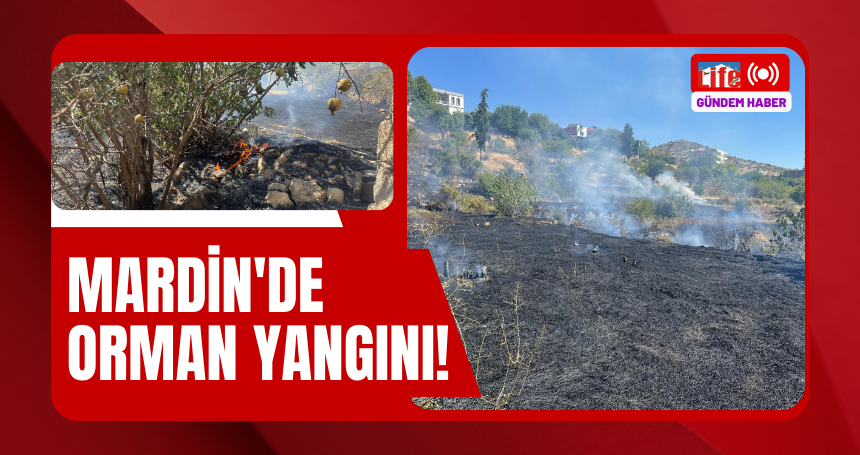 Mardin'de orman yangını!