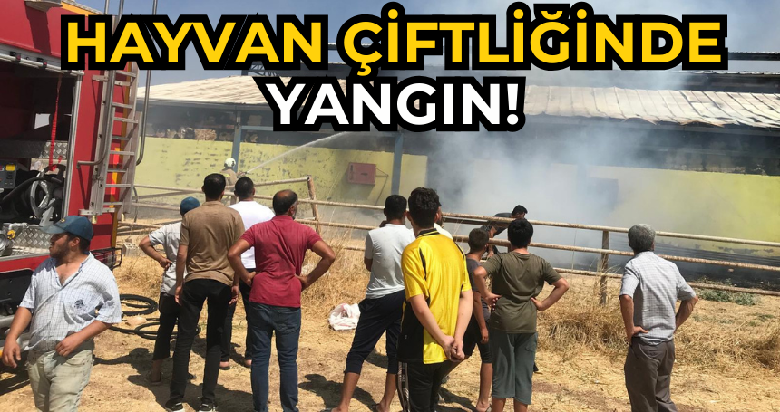 Hayvan Çiftliğinde yangın!