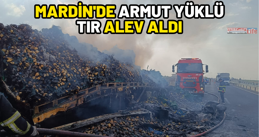 Mardin'de Armut yüklü TIR alev aldı
