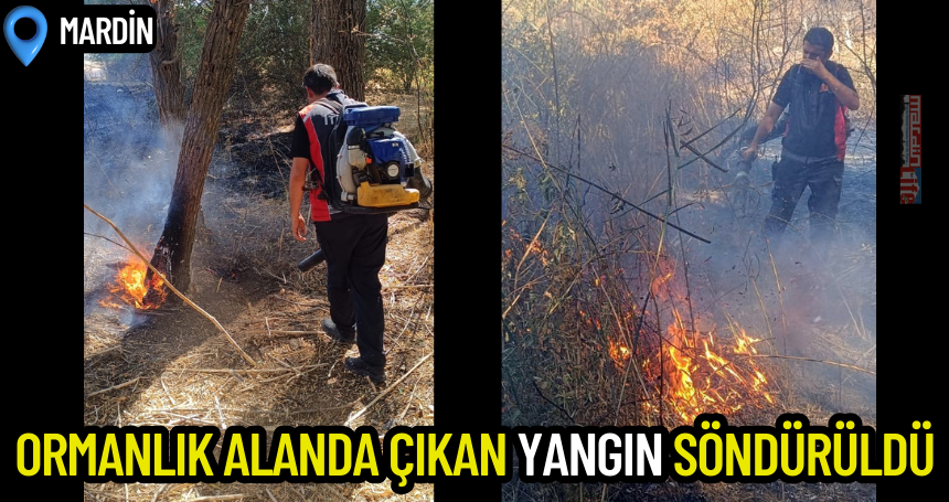 Mardin’de ormanlık alanda çıkan yangın söndürüldü
