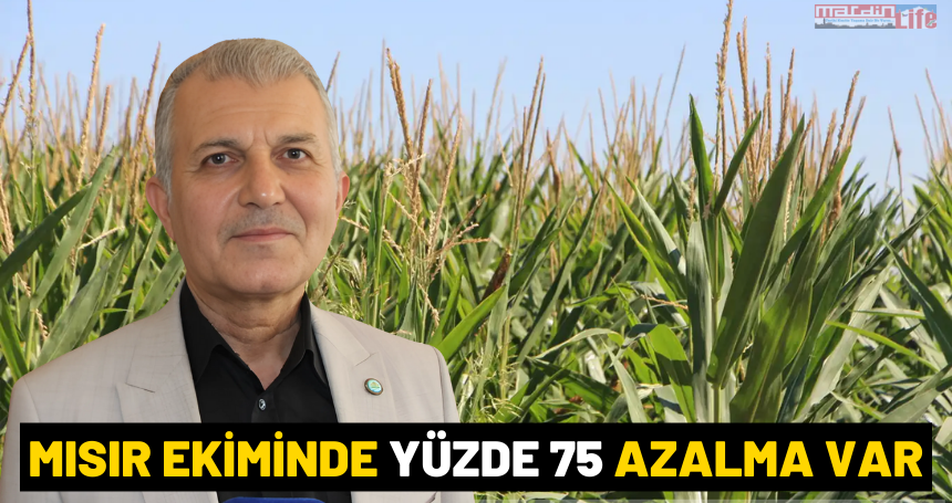 Öter: Mısır ekiminde yüzde 75 azalma var