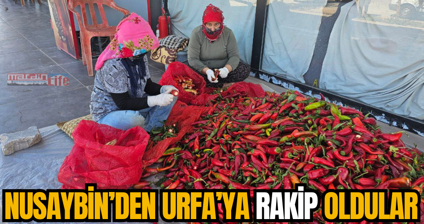 Nusaybin’den Urfa’ya rakip oldular