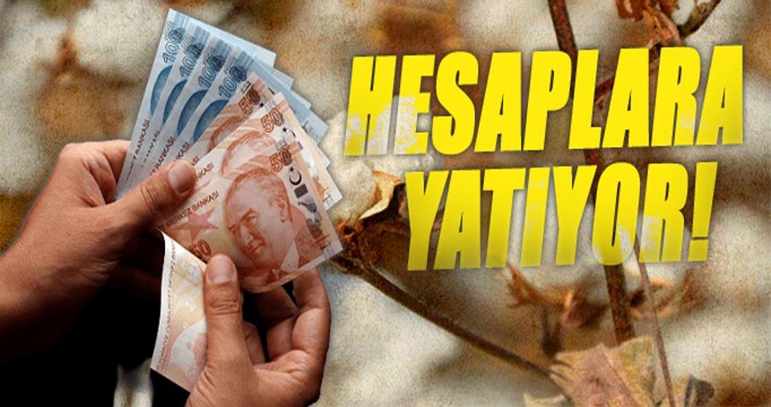 Destek ödemeleri hesaplara yatırıldı