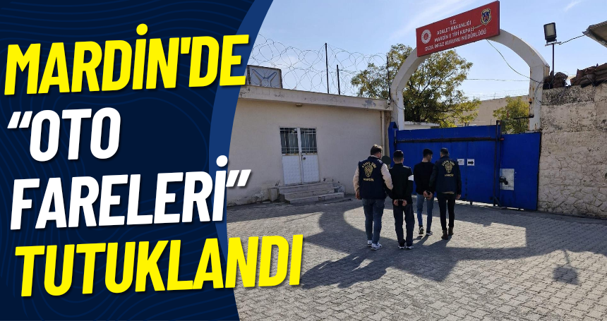 Mardin'de “Oto Fareleri” Tutuklandı
