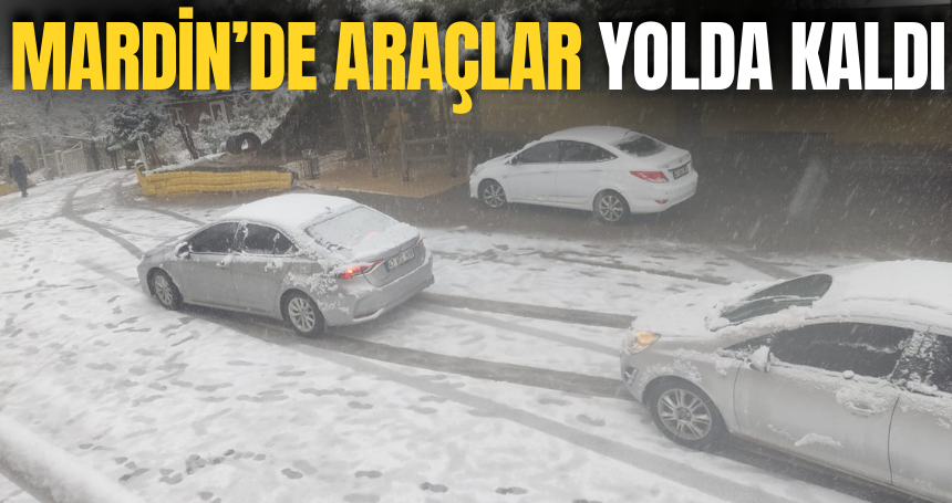 Mardin'de araçlar yolda kaldı