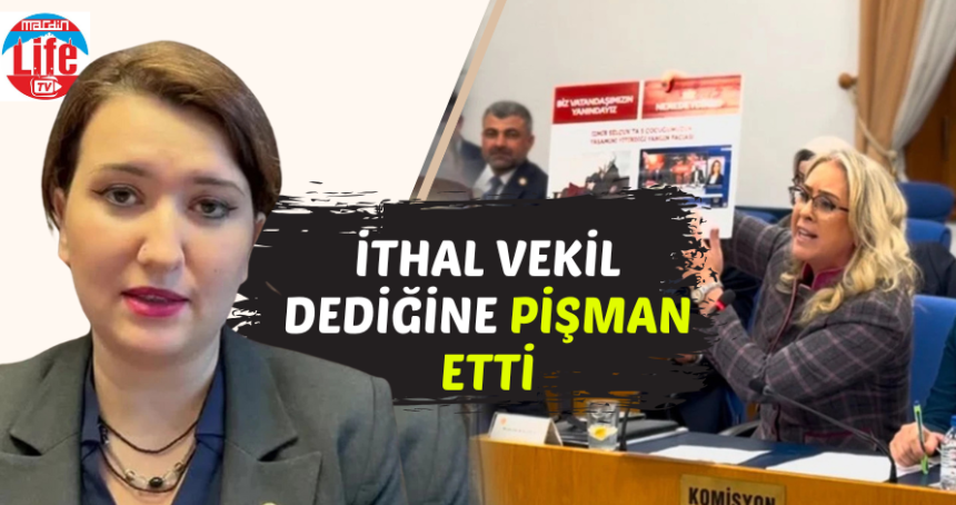 Ceyda Bölünmez'e İthal vekil deyince...