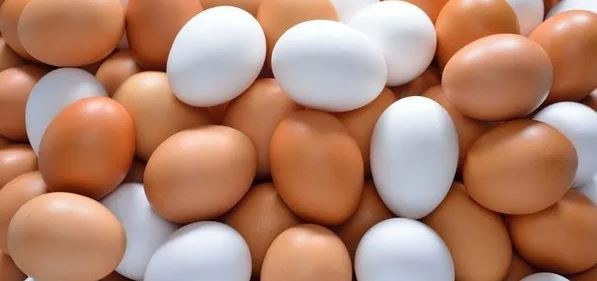 Yumurta kabuğunun kahverengi veya beyaz olması arasında fark var mı? Besin değerleri farklı mı? Hangisi daha çok tercih edilir?