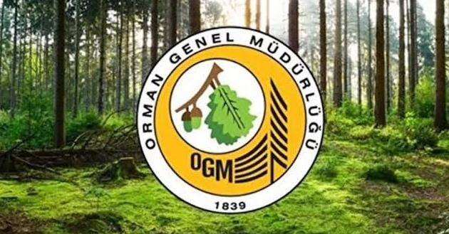 ORMAN İŞLETME MÜDÜRLÜĞÜNDEN TAŞINMAZ İLANI