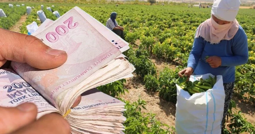 Çiftçilere yılbaşı öncesi ödeme: Hesapları kontrol edin