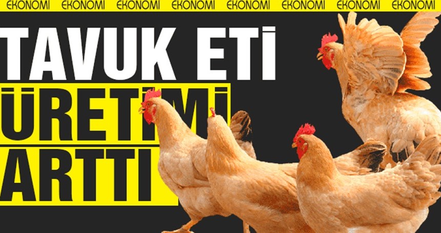 Tavuk eti üretimi arttı!