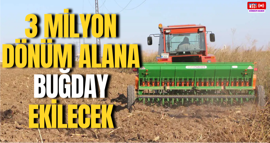Mardin ovasında 3 milyon dönüm alana buğday ekilecek