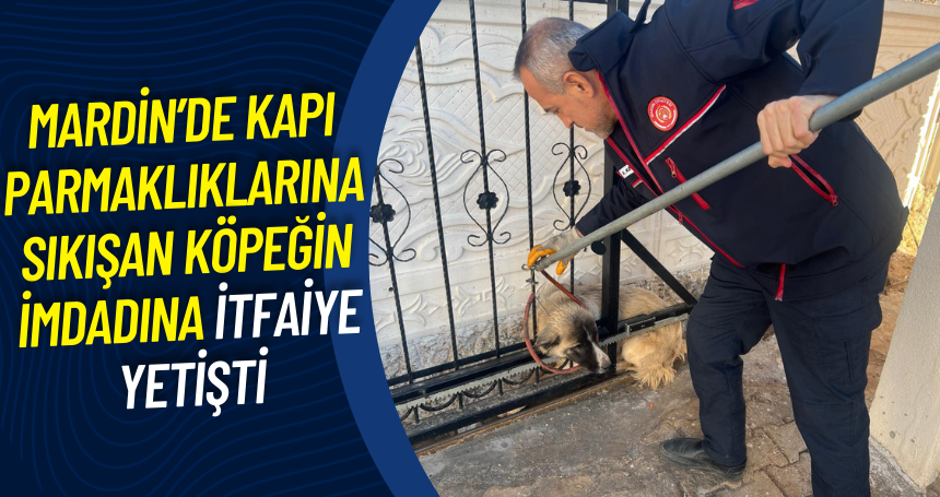 Mardin’de kapı parmaklıklarına sıkışan köpeğin imdadına İtfaiye yetişti