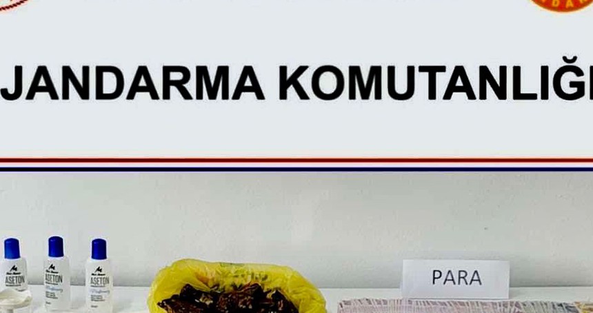 Uyuşturucu operasyonunda 1 kilogram bonzai ele geçirildi