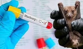 Marburg virüsü nedir? Nerde görüldü? Nasıl bulaşır? Nasıl korunulur? Belirtileri nelerdir?
