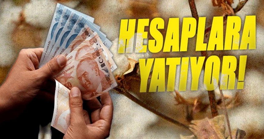 Bakanlık duyurdu: Hesaplara yatırıldı