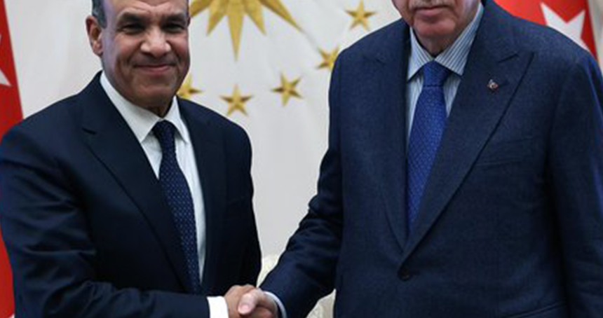 Cumhurbaşkanı Erdoğan, Mısır Dışişleri Bakanı Abdulati'yi kabul etti