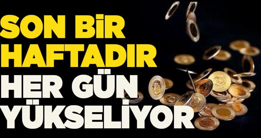 Son bir haftadır her gün yükseliyor