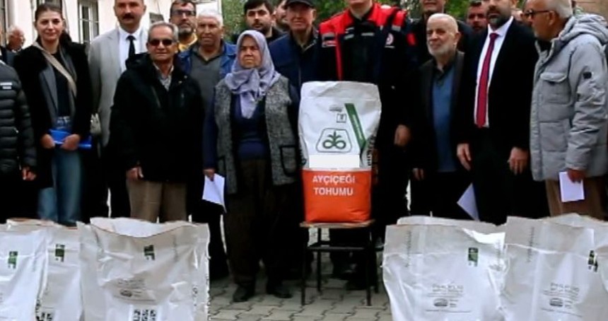 Üreticilere ayçiçeği tohumu dağıtıldı
