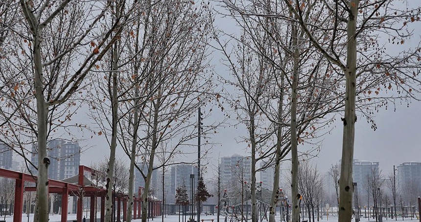 Diyarbakır’da aylar sonra gelen kar yağışı ve soğuk hava etkili oluyor
