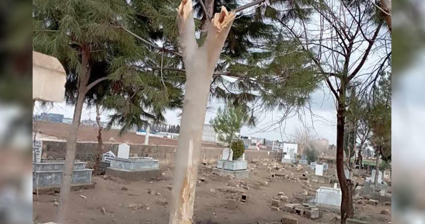 Şanlıurfa’da mezarlıktaki ağaçlar kesildi