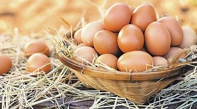 Yumurta ihracatında önemli adım! Fon kesintisi uygulanacak