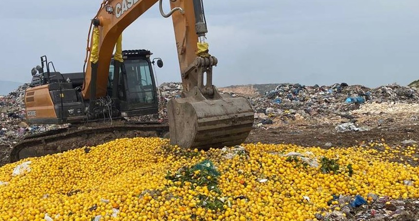 Pestisitin tespit edildiği ihraç ürünü limonlar imha edildi