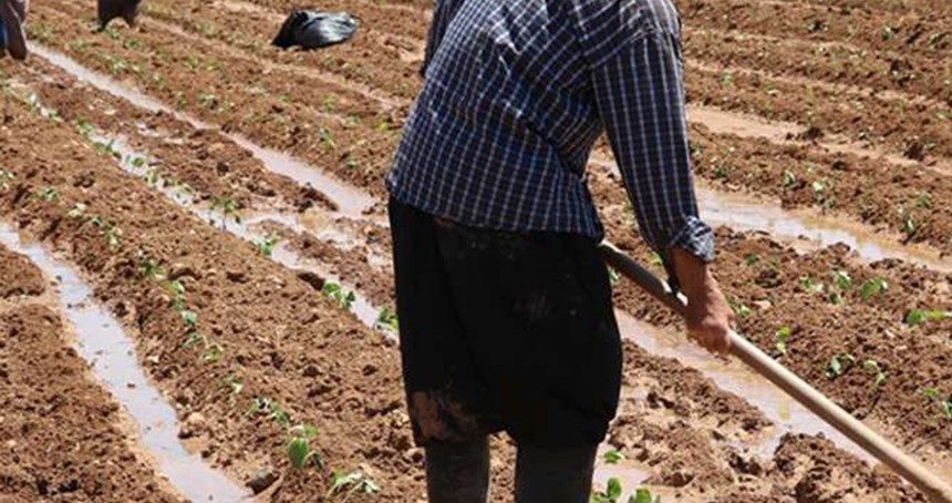 Mevsimlik tarım işçilerinin ücretleri arttı