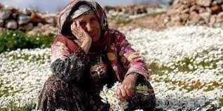 TÜİK sonuçları açıkladı: Türkiye'nin en yaşlı İli bakın neresiymiş!