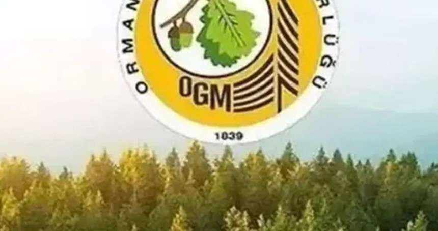 Orman Genel Müdürlüğü 252 daimi işçi alacak