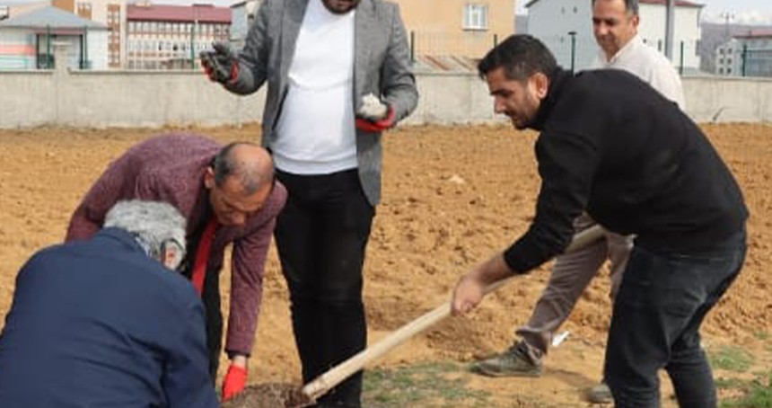Bingöl'de Guldar domatesi toprakla buluştu