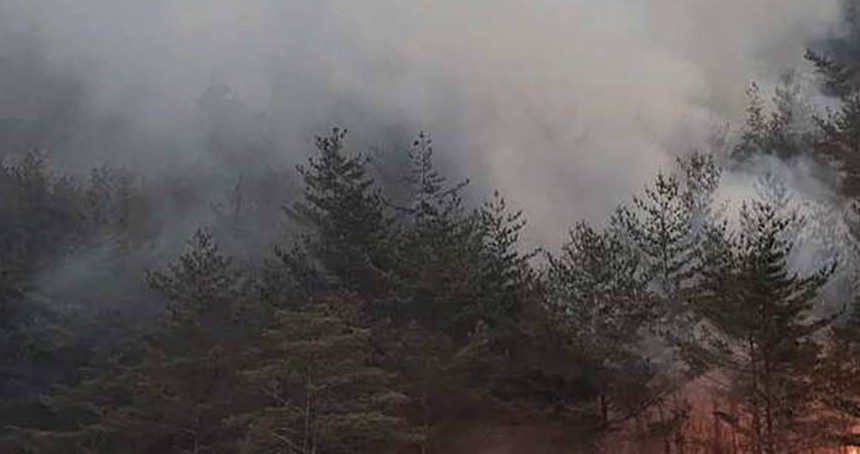 Güney Kore'deki orman yangınlarında 18 kişi öldü