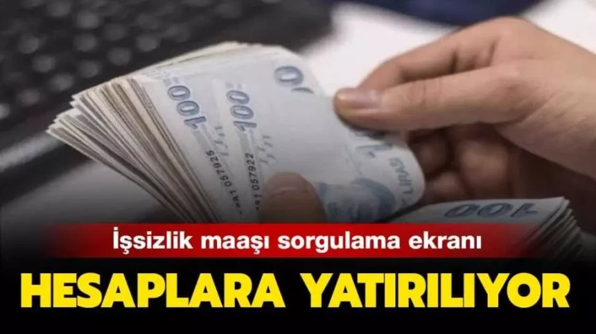 İşsizlik ödeneği ve kısa çalışma ödenekleri hesaplara yatırılıyor