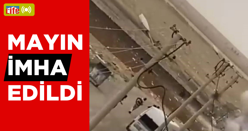 Mardin’de mayın imha edildi
