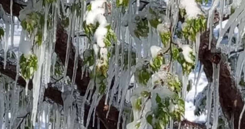 Meteoroloji’den Bitlis için zirai don ve çığ uyarısı