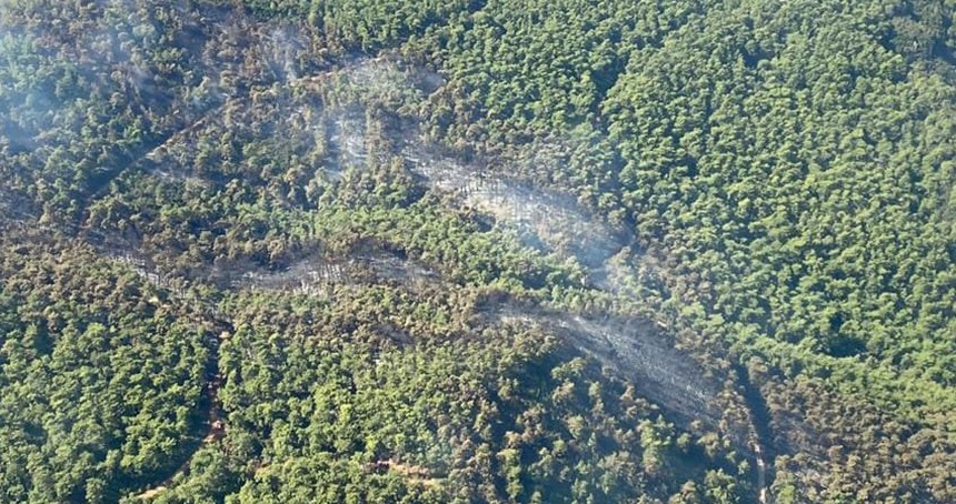 Muğla'da yangın riski nedeniyle ormanlara giriş yasağı