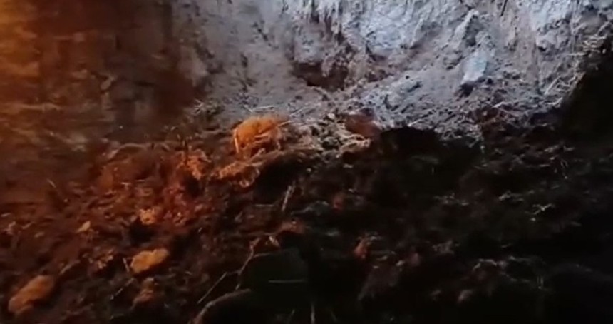 Ağrı'nın Doğubayazıt ilçesinde ahır çöktü, 20 koyun telef oldu